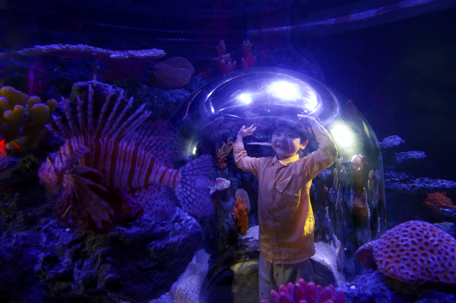 [首尔] SEA LIFE COEX, Seoul Aquarium水族馆门票