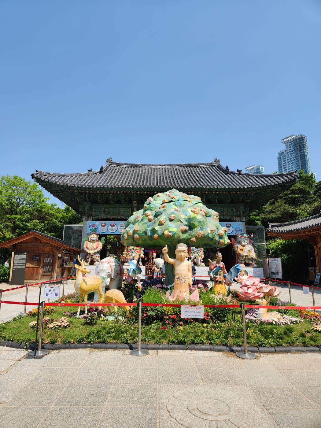  颂钵冥想与奉恩寺正念漫步