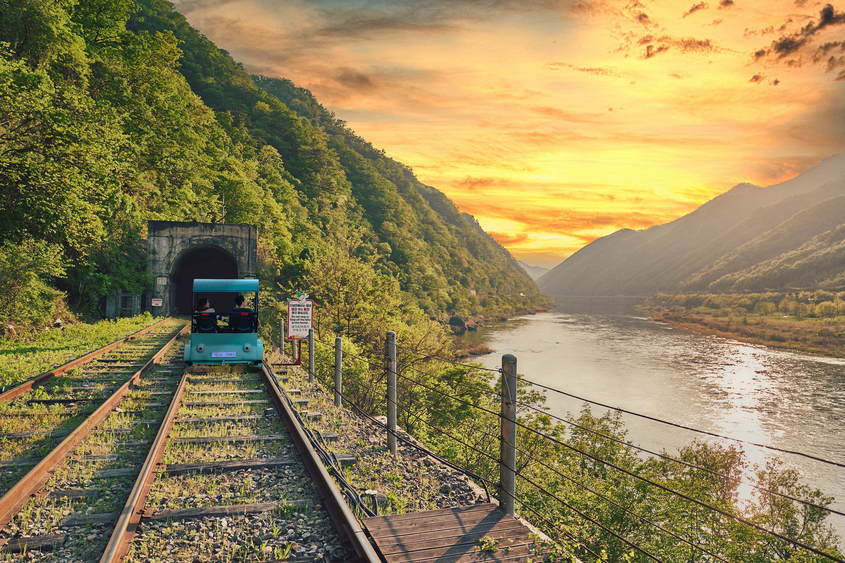 Nami Island + Gangchon Rail Bike + Garden of Morning Calm