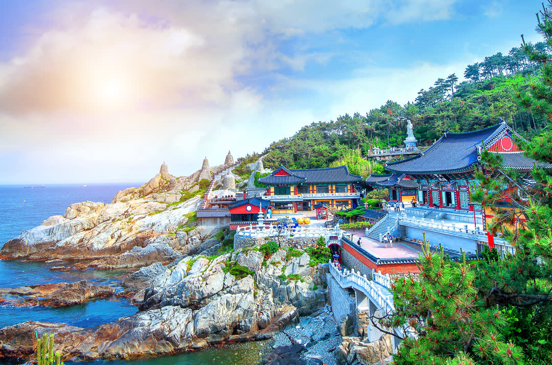 [Busan] Songdo Marine Cable Car + Taejongdae + Gamcheon + Yonggungsa Temple Private Tour