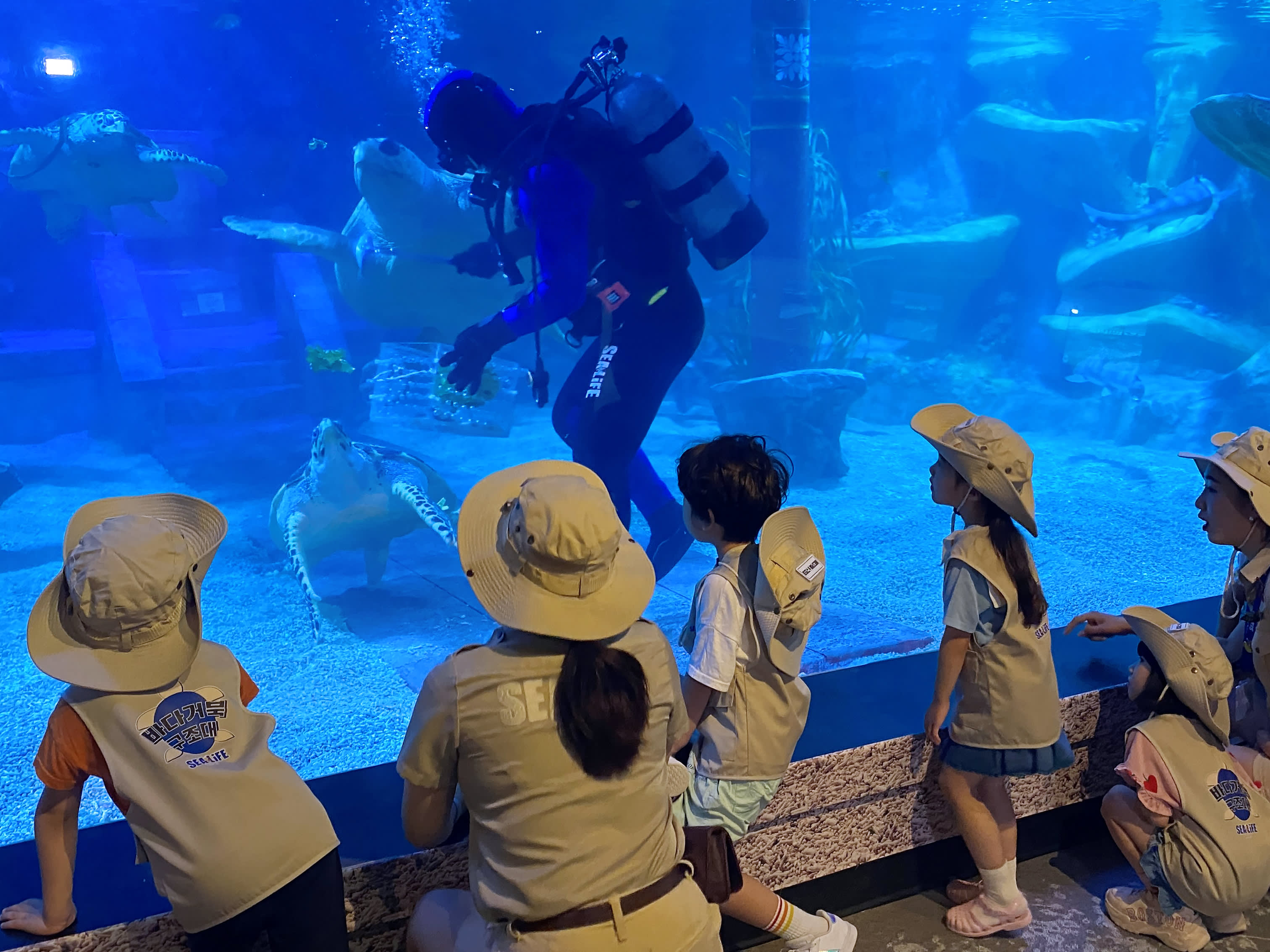 [釜山] SEA LIFE 釜山水族馆门票
