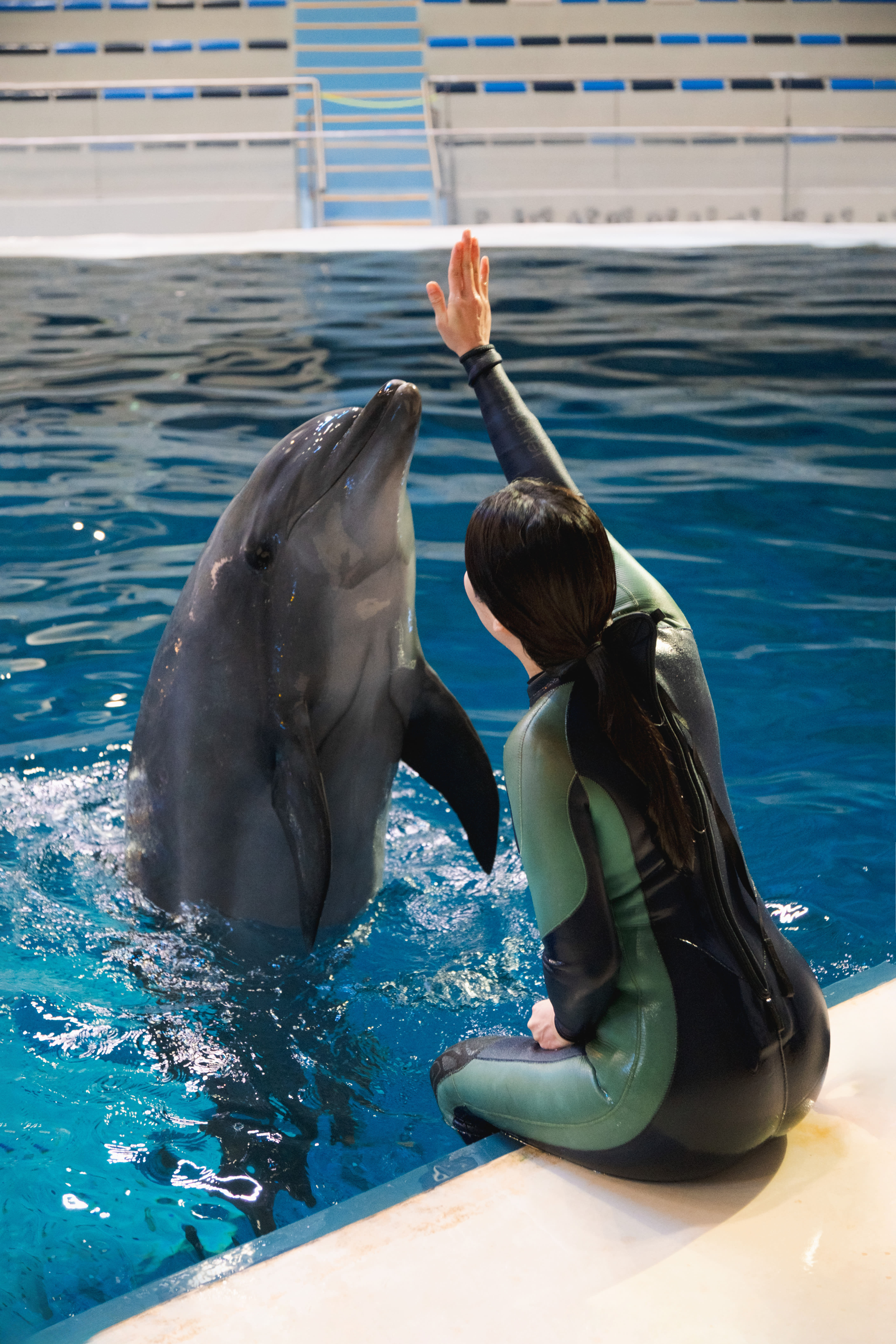 [Jeju] Aqua Planet Discount Ticket (Foreigner Only)