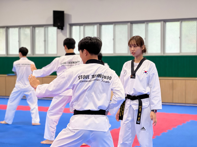 [ソウル] 江南で習う韓国伝統テコンドーのワンデークラス