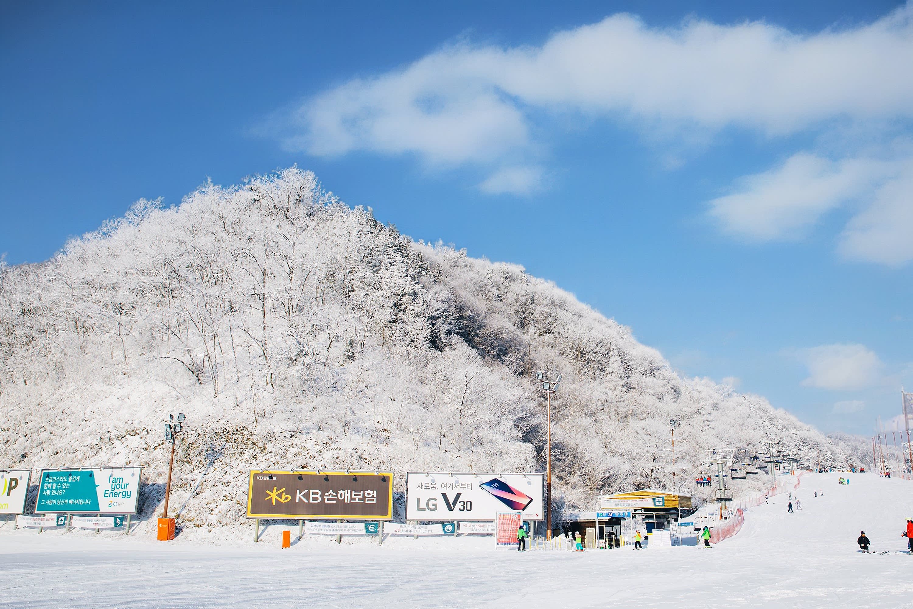 NOT USE - Elysian Ski Day Tour from Seoul  (Ski Clothing +Ski gear +Moving Walk+ Lift+ Basic Ski Lesson)