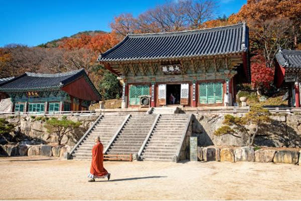 釜山グルメ「東莱ハルメパジョン」＆梵魚寺ツアー（午前／午後）