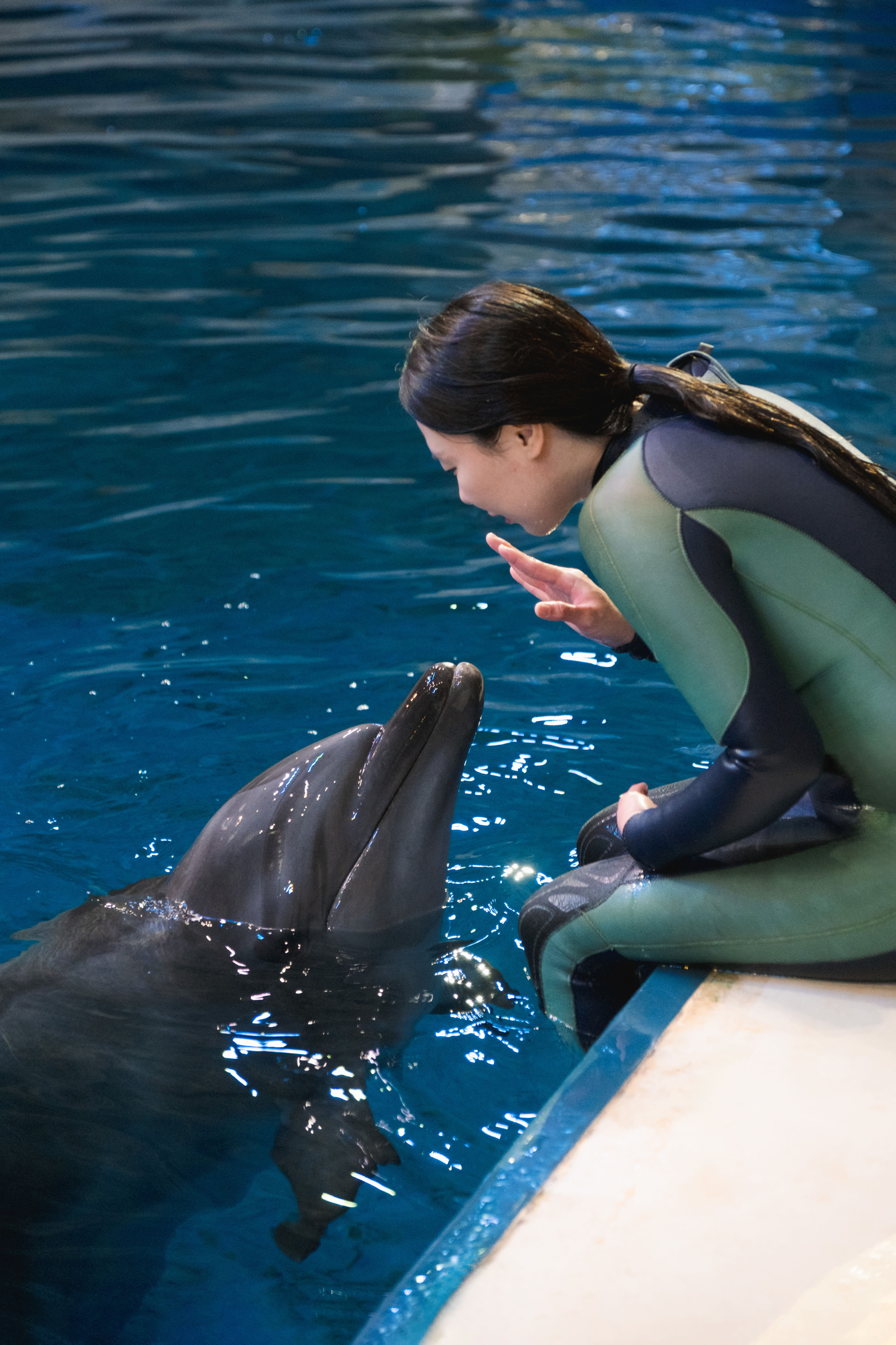 [Jeju] Aqua Planet Discount Ticket (Foreigner Only)