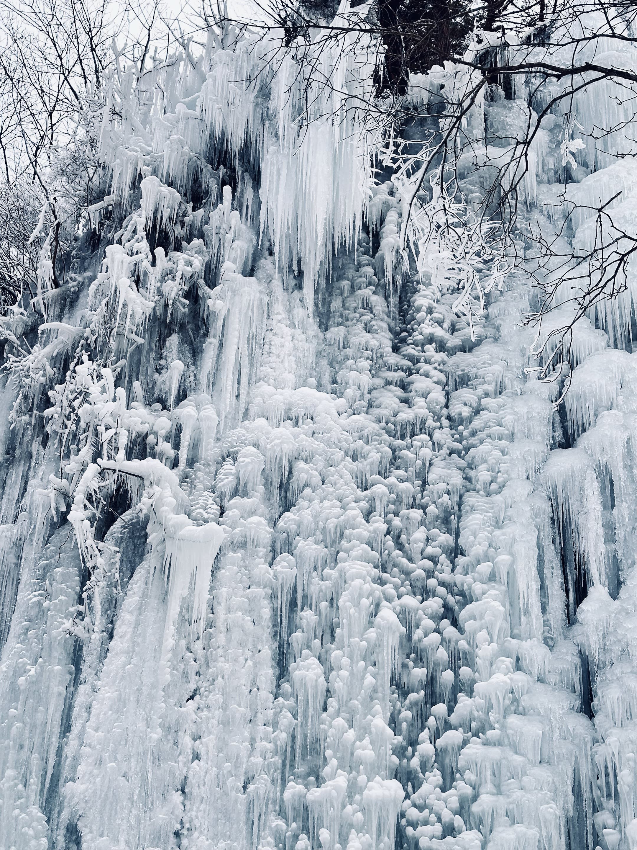 [From Seoul] Hwacheon Sancheoneo Ice Festival Day Tour 