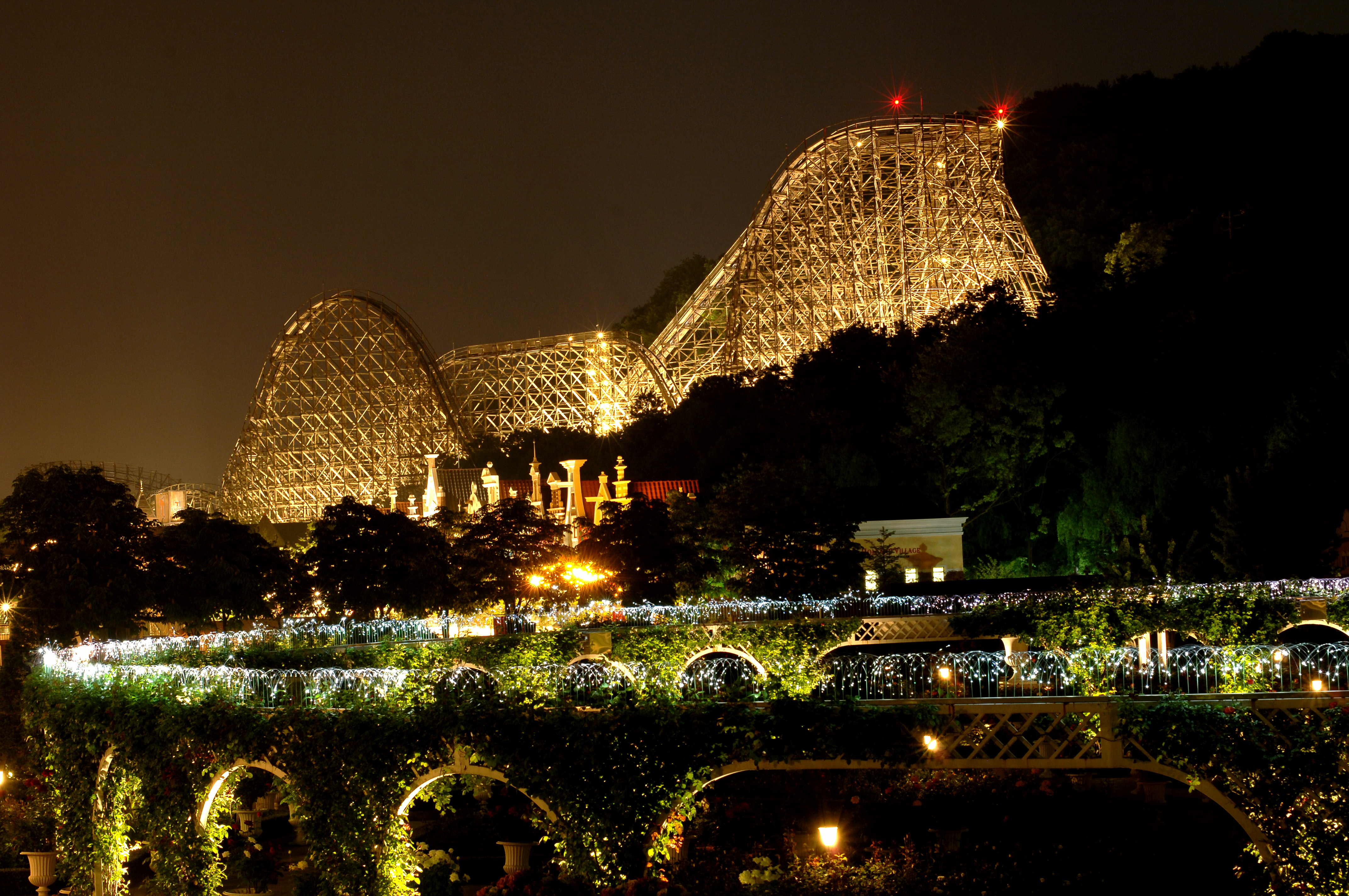 [ソウル] EVERLAND 1日パス＆チケットパッケージ