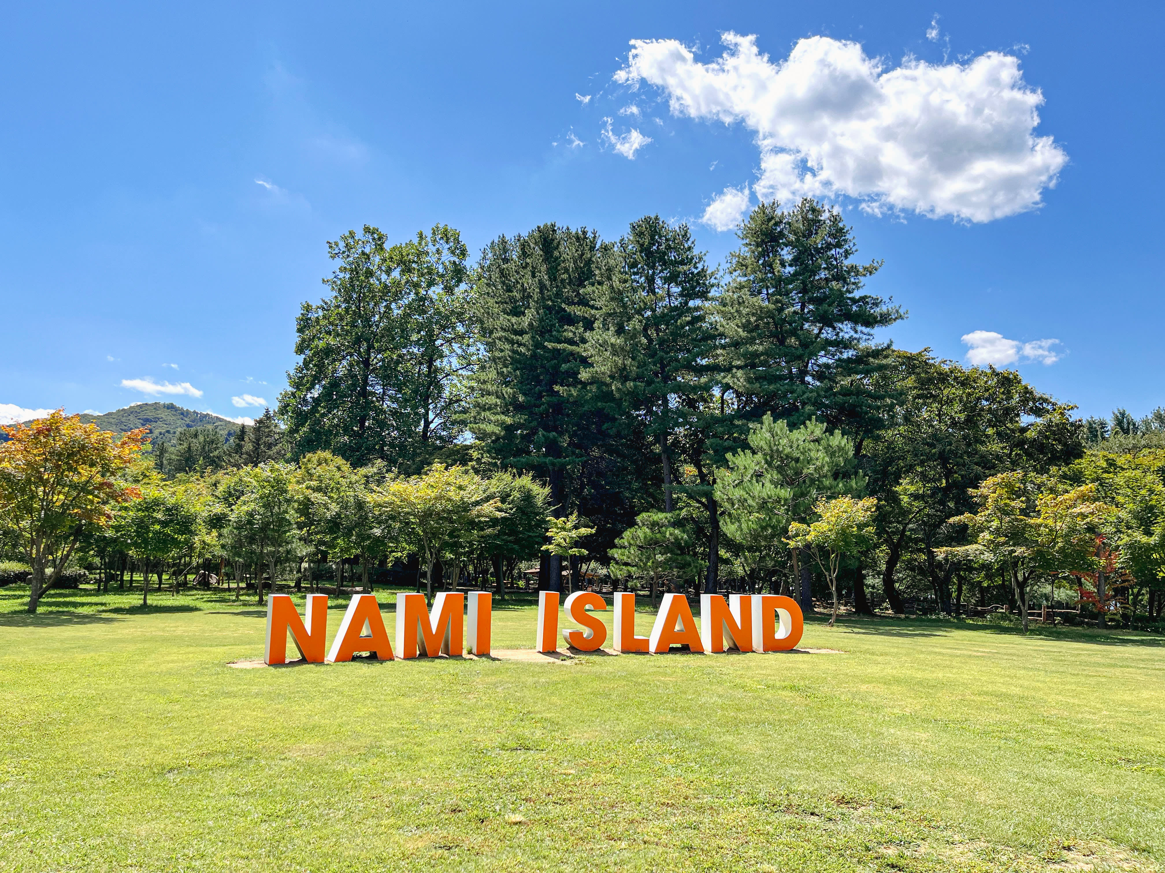 [Best Seller] Nami Island + Alpaca World + Gangchon Railbike Day Tour from Seoul