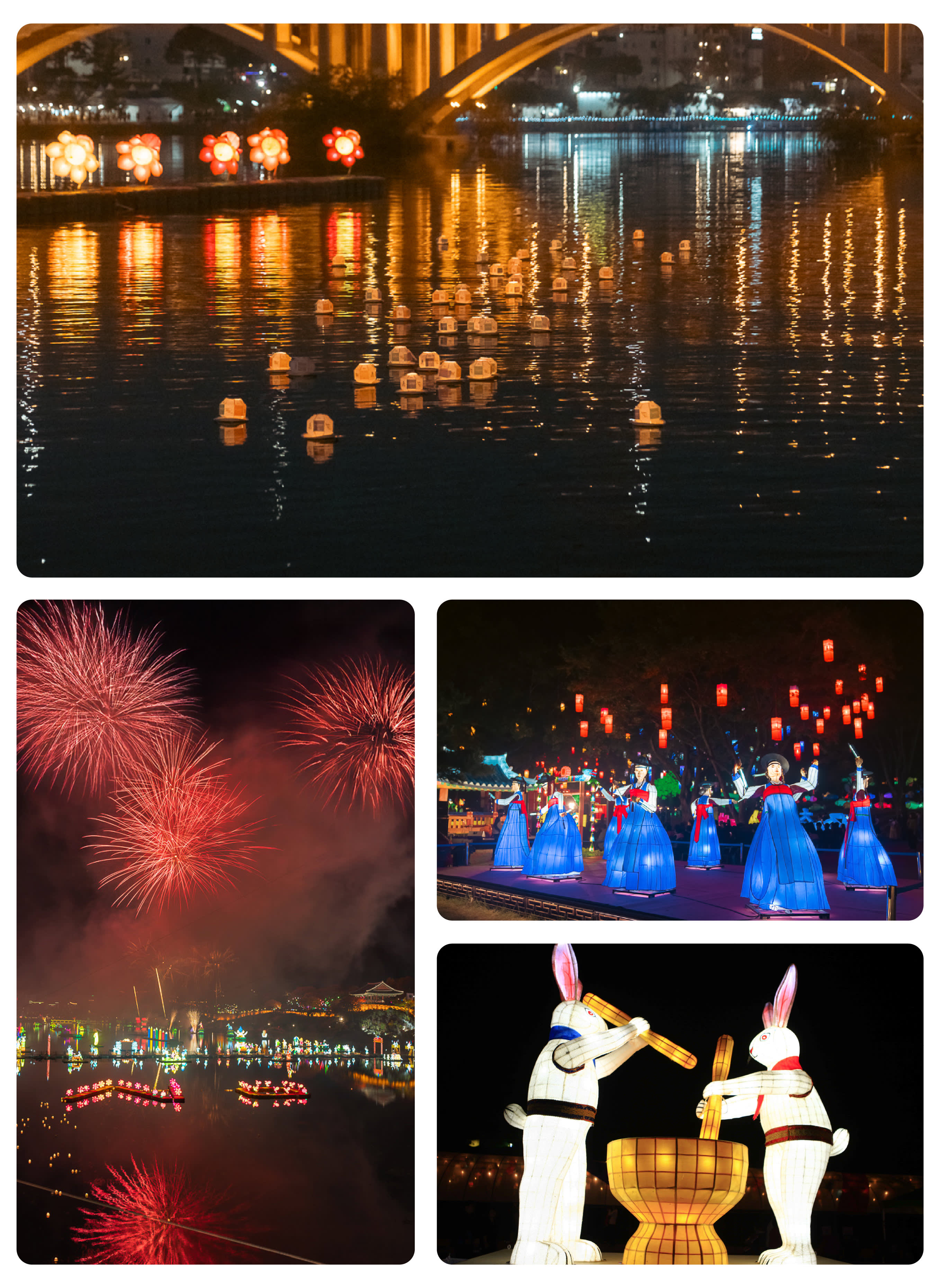 [From Busan] 2026 Jinju Lantern Festival & Pink Muhly Day Tour