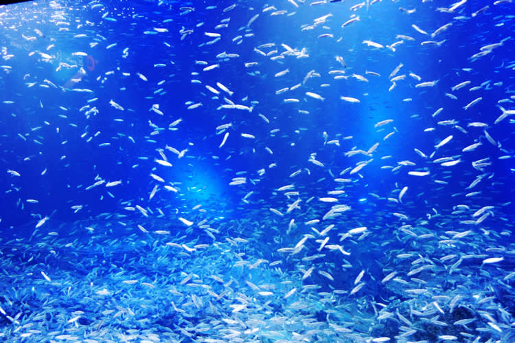 [ソウル]63ビル展望台(スカイアート)＋水族館(アクアプラネット)割引入場チケット