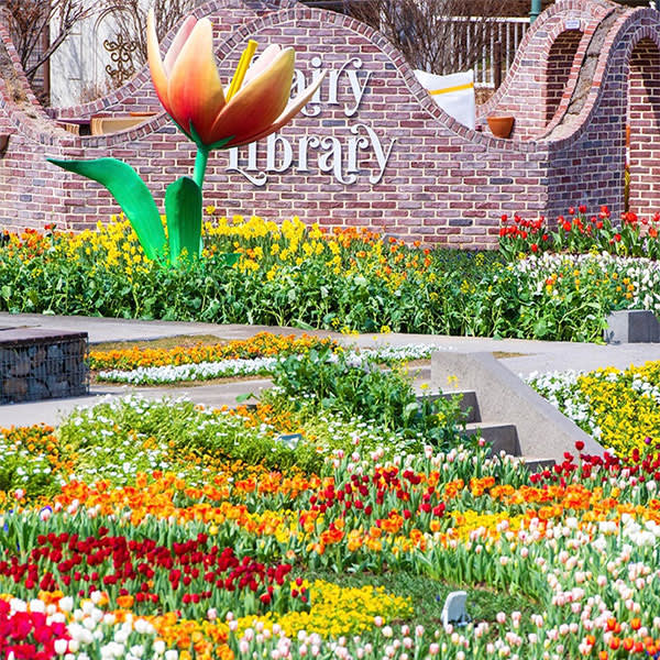 [Seoul] EVERLAND Ticket 1 Day Pass & Ticket Package