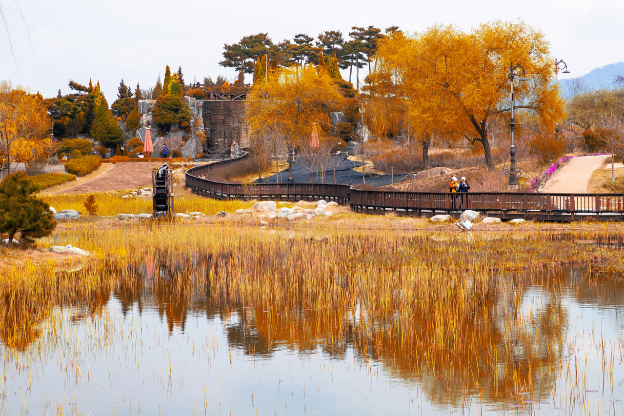 [From Seoul] Daejeon Autumn Day Tour: Jangtaesan, Hanbat Arboretum & Sungsimdang