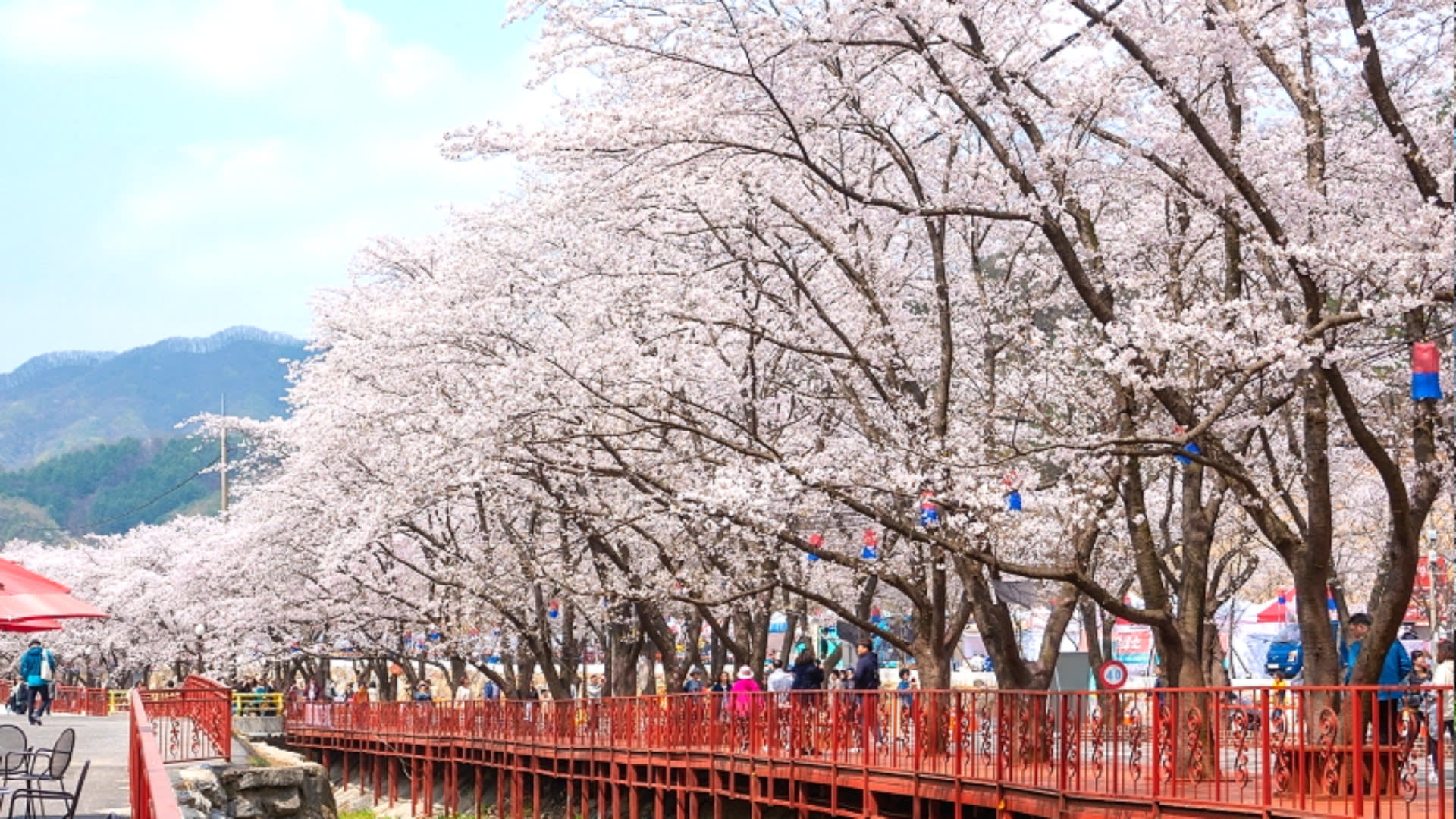 江原道全地域のカーチャートツアー
