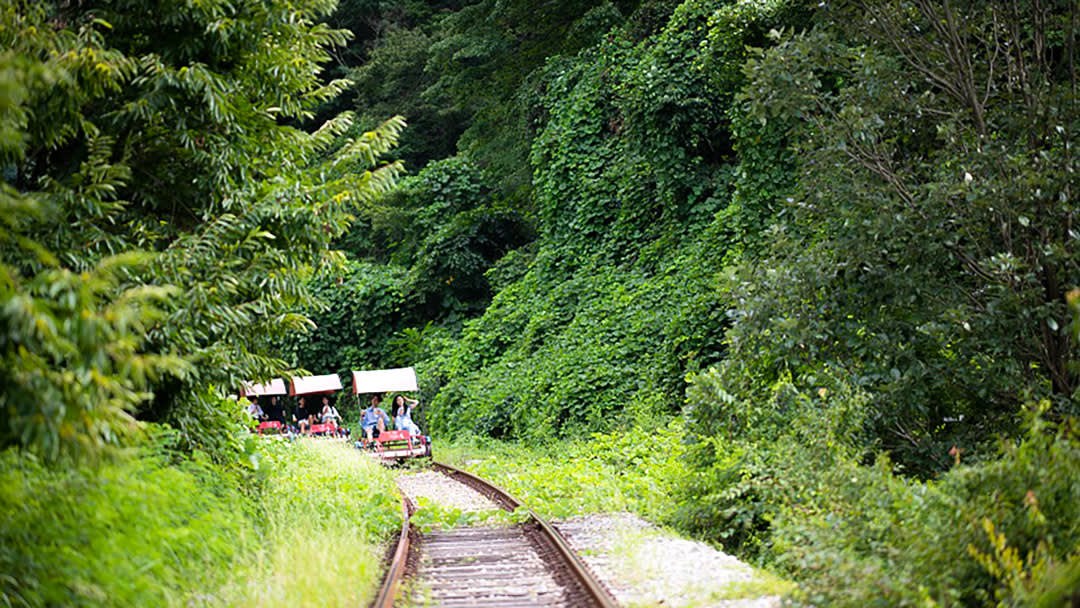 [首尔出发]Nari公园（粉红穆利草）＆ 南怡岛 ＆ 江村铁路自行车一日游