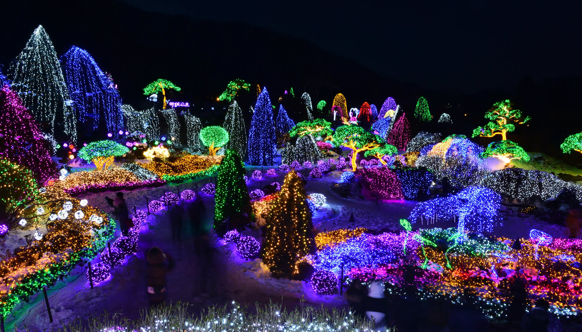 草泥马乐园 & 晨静树木园(夜灯)一日游