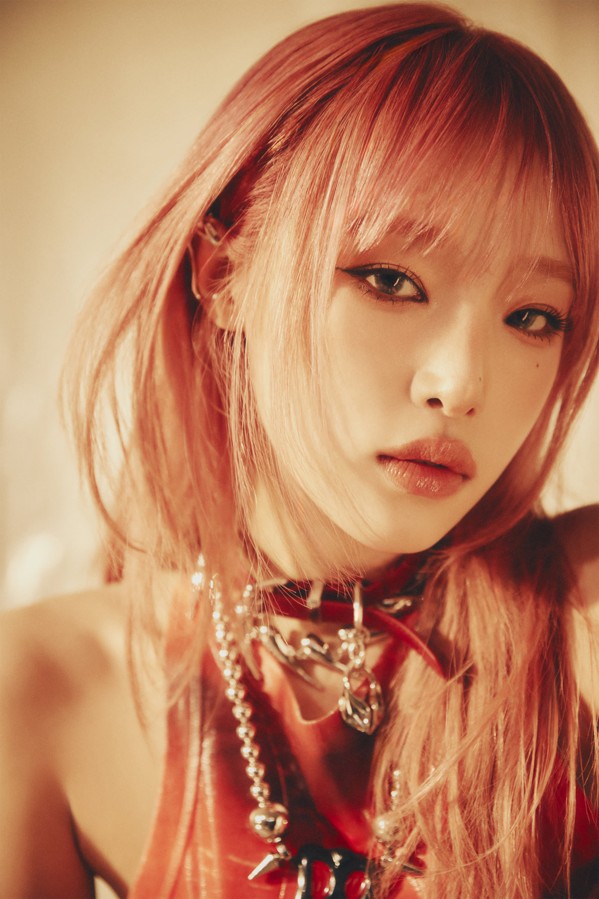 30th Dream Concert + Seoul Sky Admission