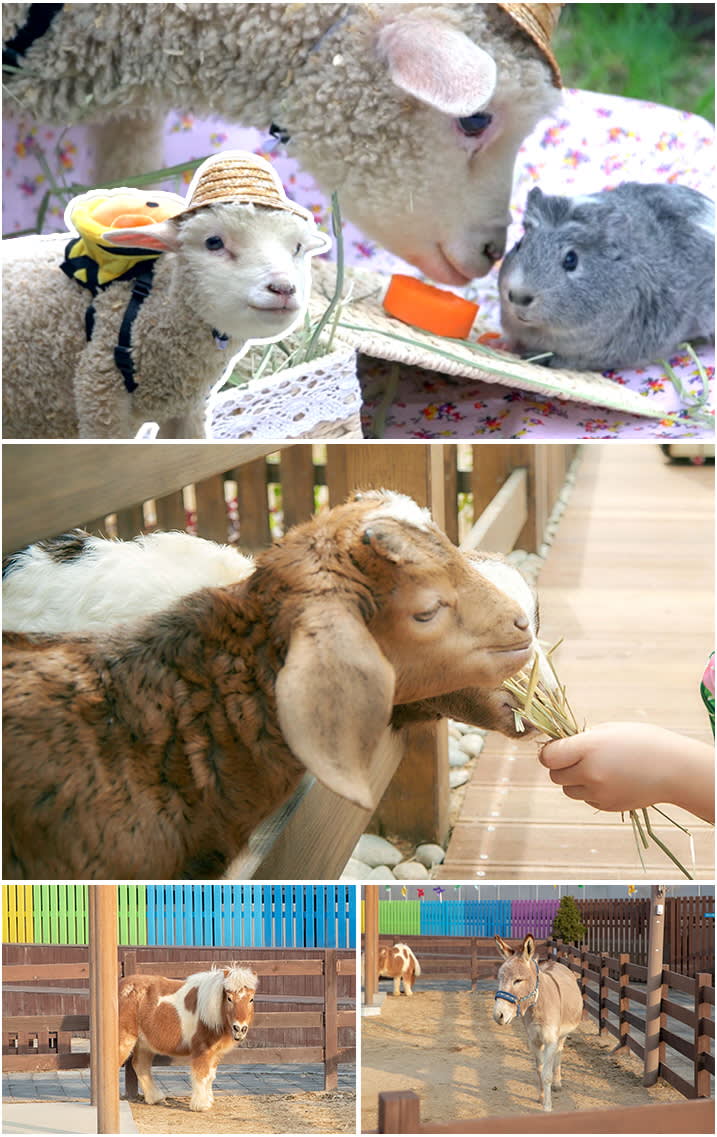 [一山] AQUA PLANET水族馆优惠门票（外国顾客专用）