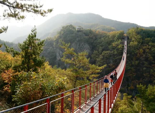 [Gyeonggi] K-DRAMA TOUR Winery + Jam Making + Create Your Own Wine, Gamaksan Suspension Bridge, Imjingak Cable Car (Crystal Cabin)