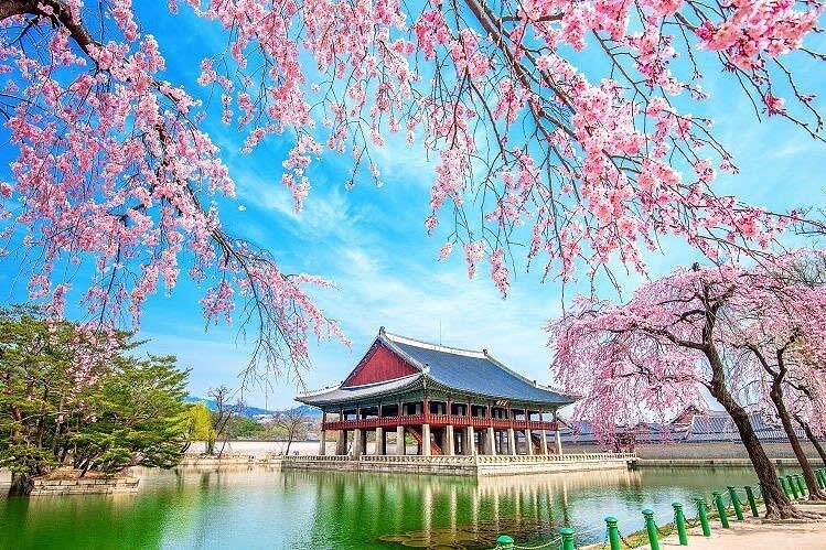 ソウル：景福宮＆仁寺洞フードツアー