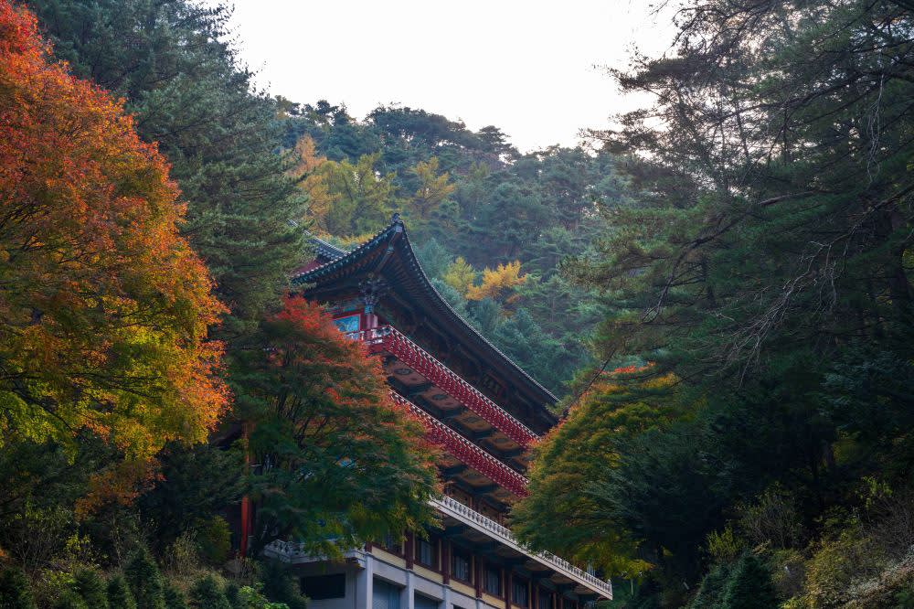 [忠清道] 救仁寺＋温達洞窟＋島潭三峰 1日ツアー