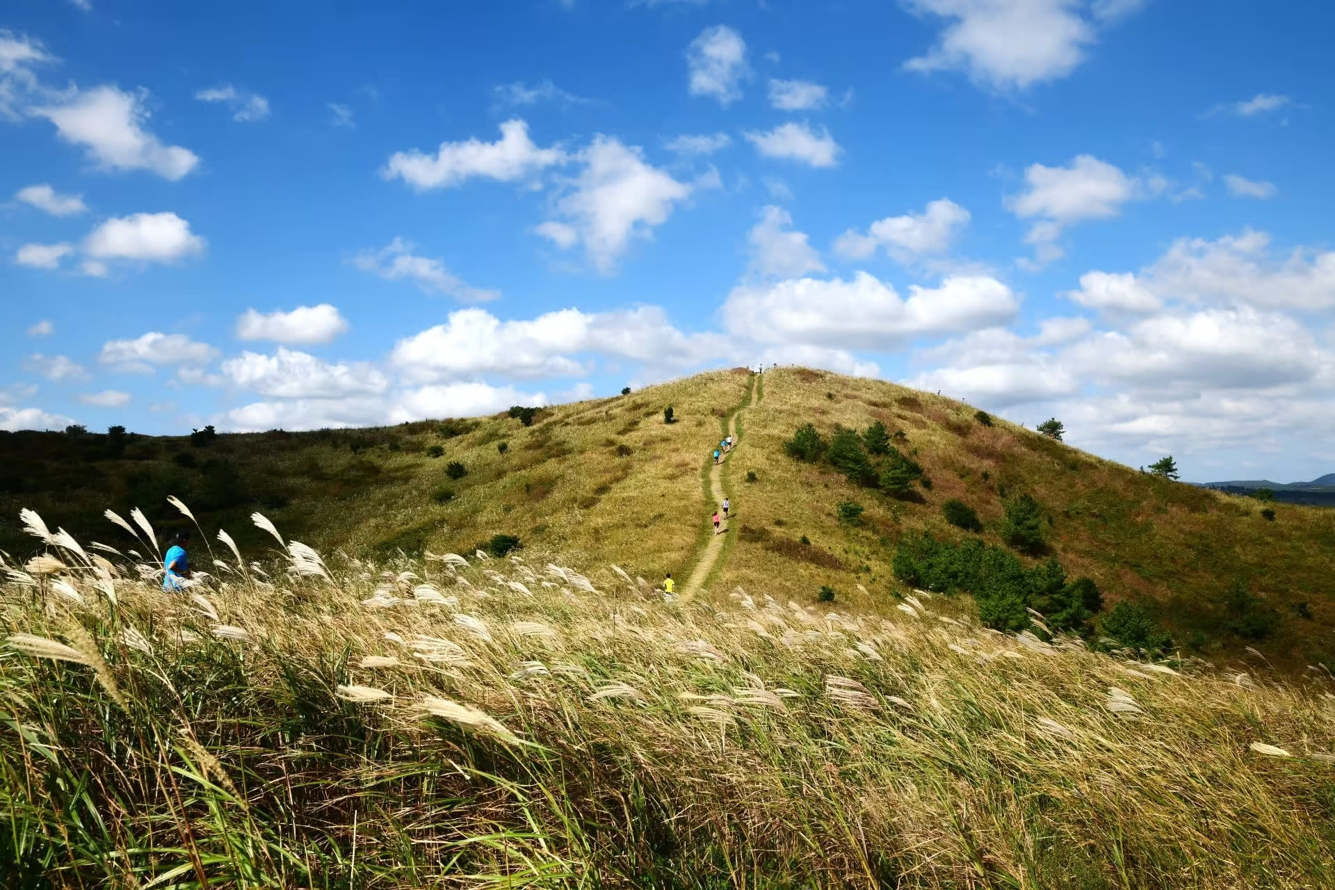 [Play & Stay] トレイルランニング - TransJeju by UTMB