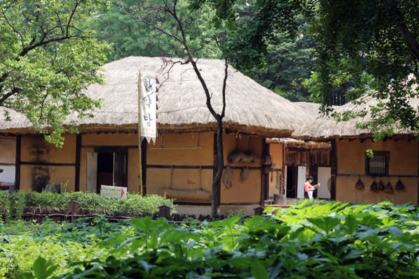 [韓国民俗村]半日ツアー（午前）