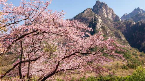 【ソウル発】雪岳山＆納仙寺 1日ツアー