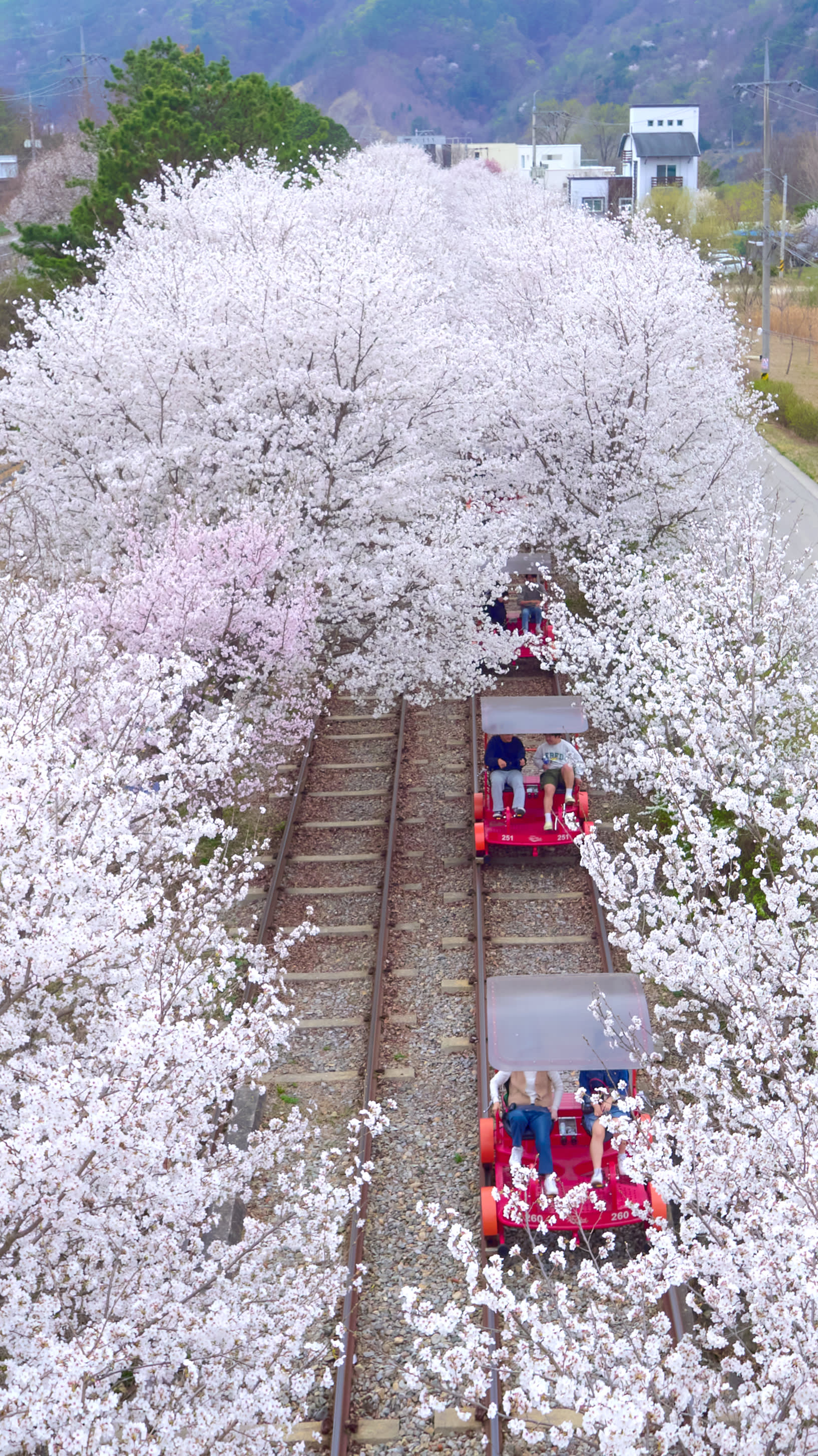 江村レールバイク 乗車チケット（加平駅）