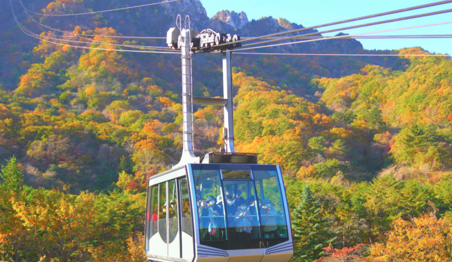 Autumn - Seoraksan National Park Maple leaves | Cable Car Day Tour