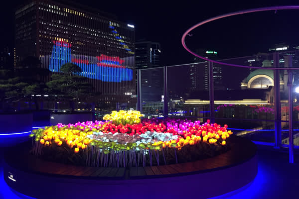 徳寿宮夜間観覧＋ソウル路7017＋漢江セビッソム夜景ナイトツアー