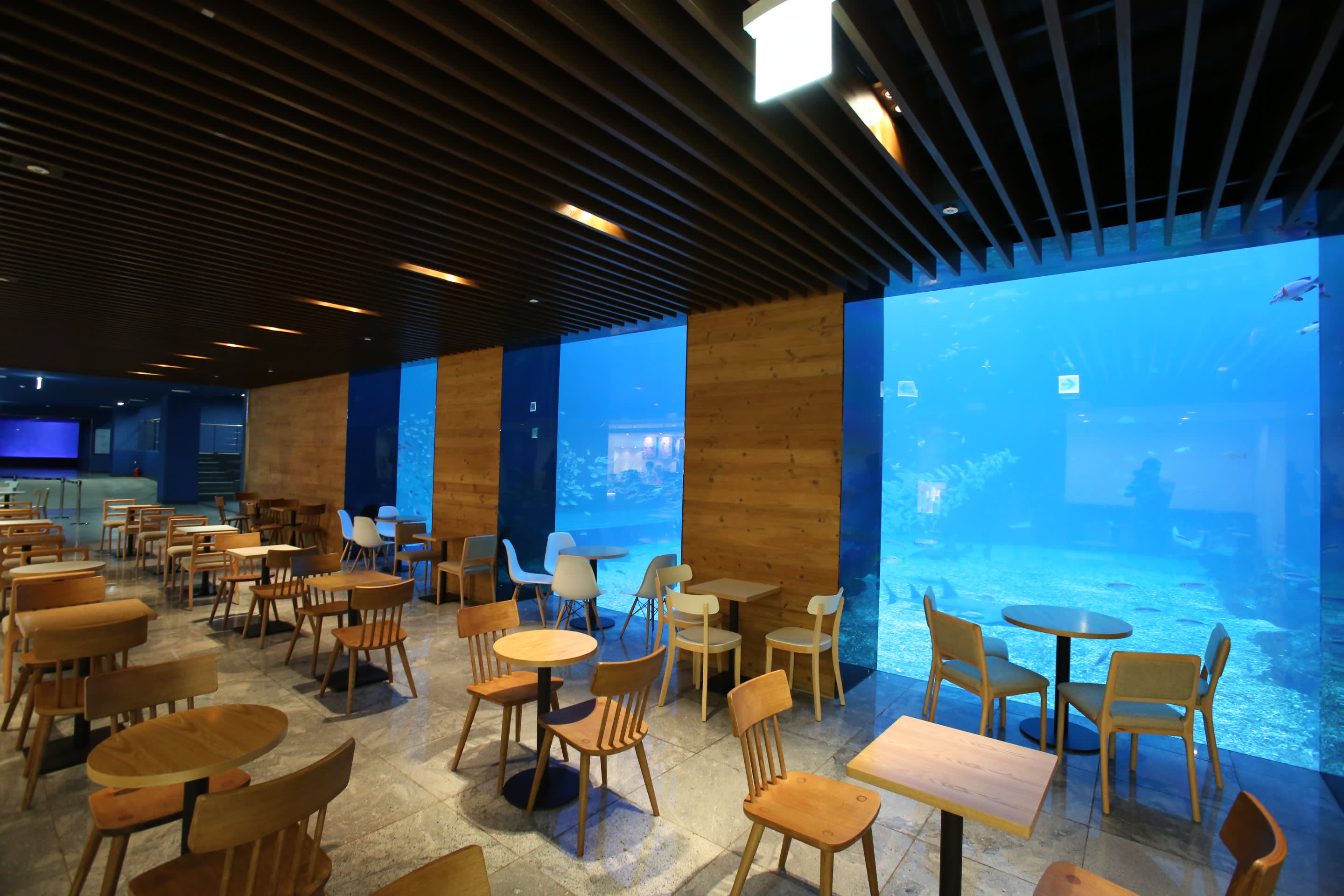 [Jeju] Aqua Planet Jeju