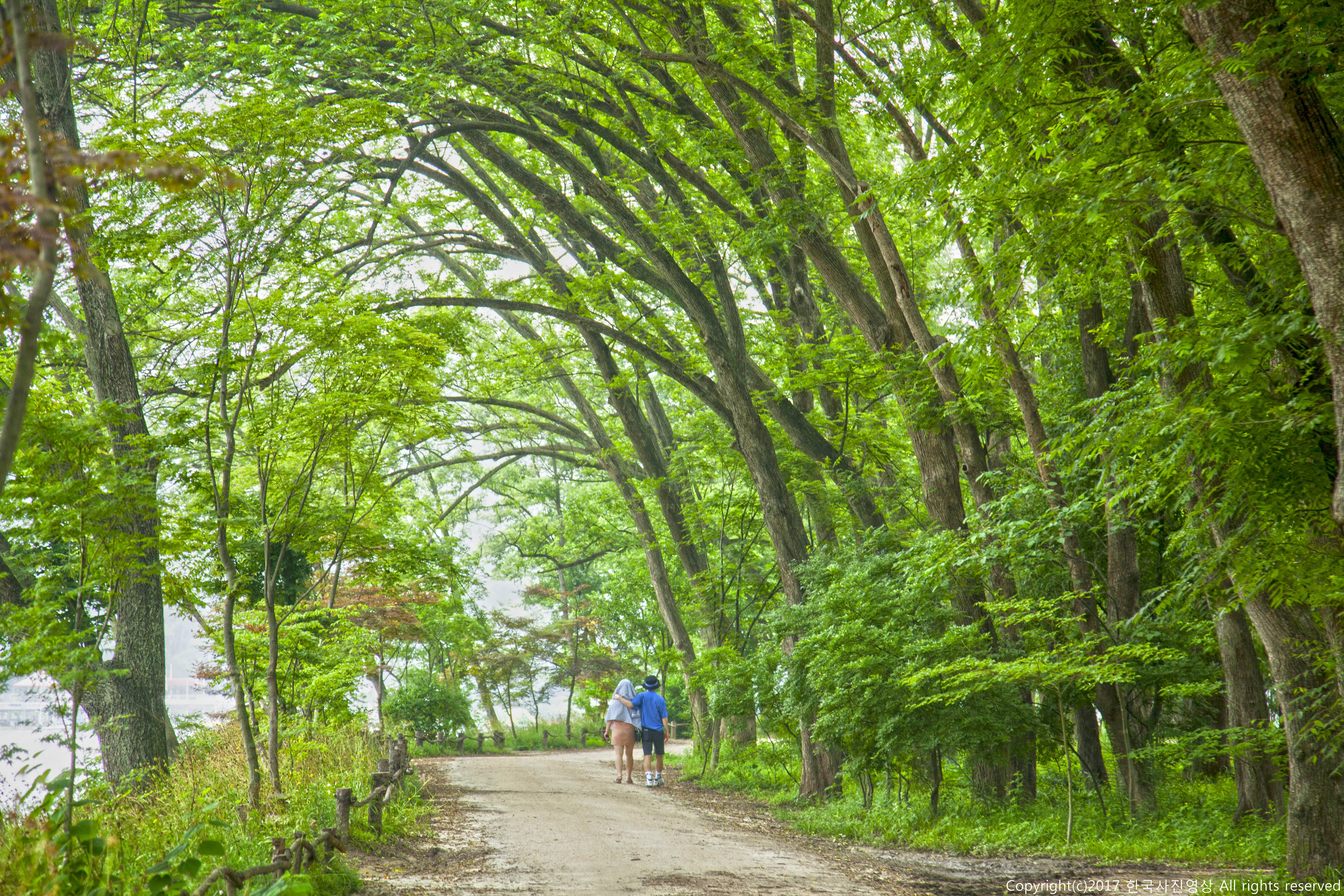[春川] 南怡岛门票（含往返普通渡船票）