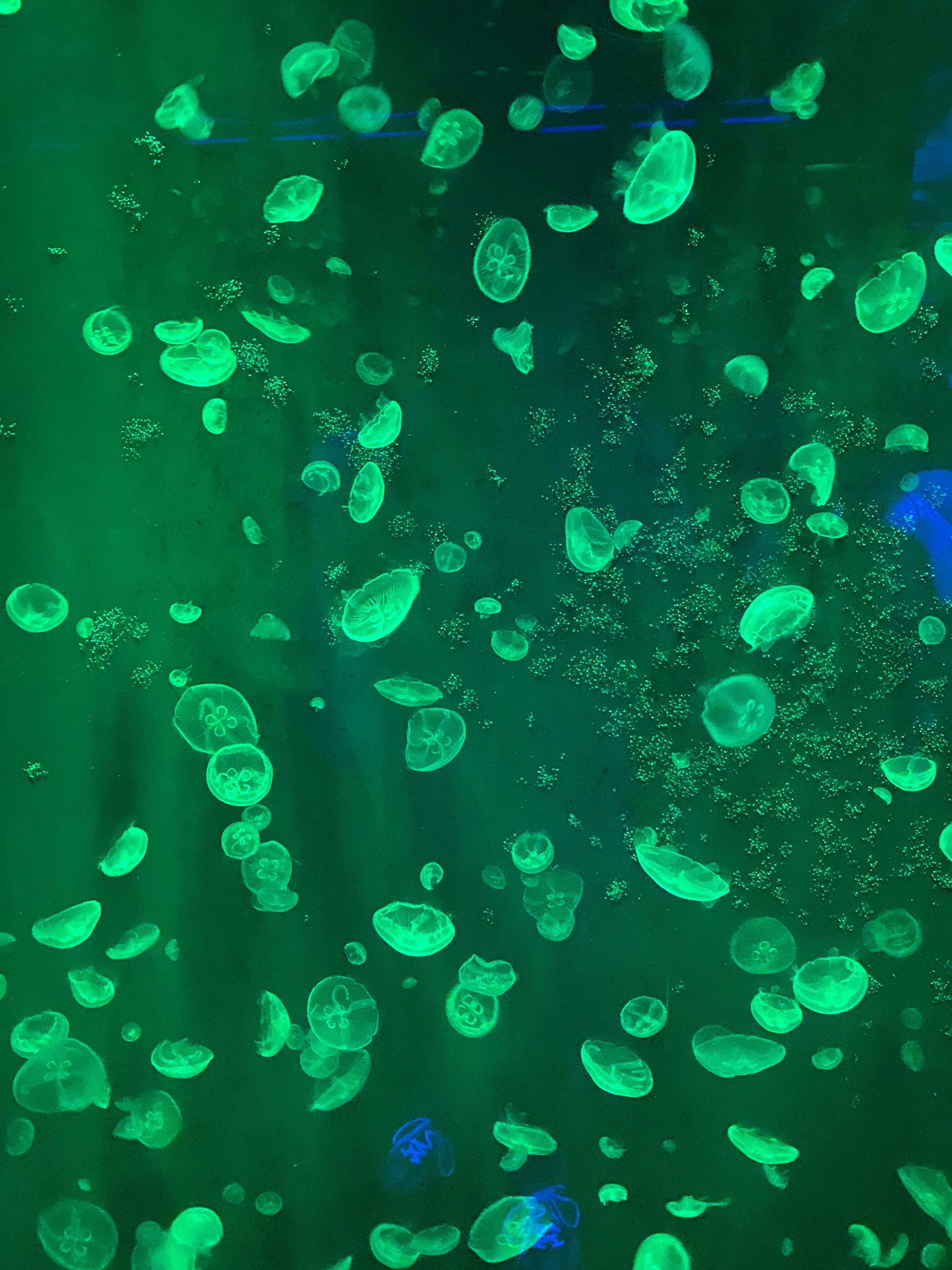 [丽水] Aqua Planet 丽水