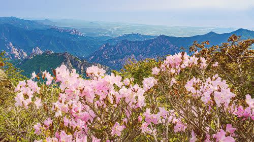 Mount Seorak and Naksansa Temple One Day Tour (from Seoul)