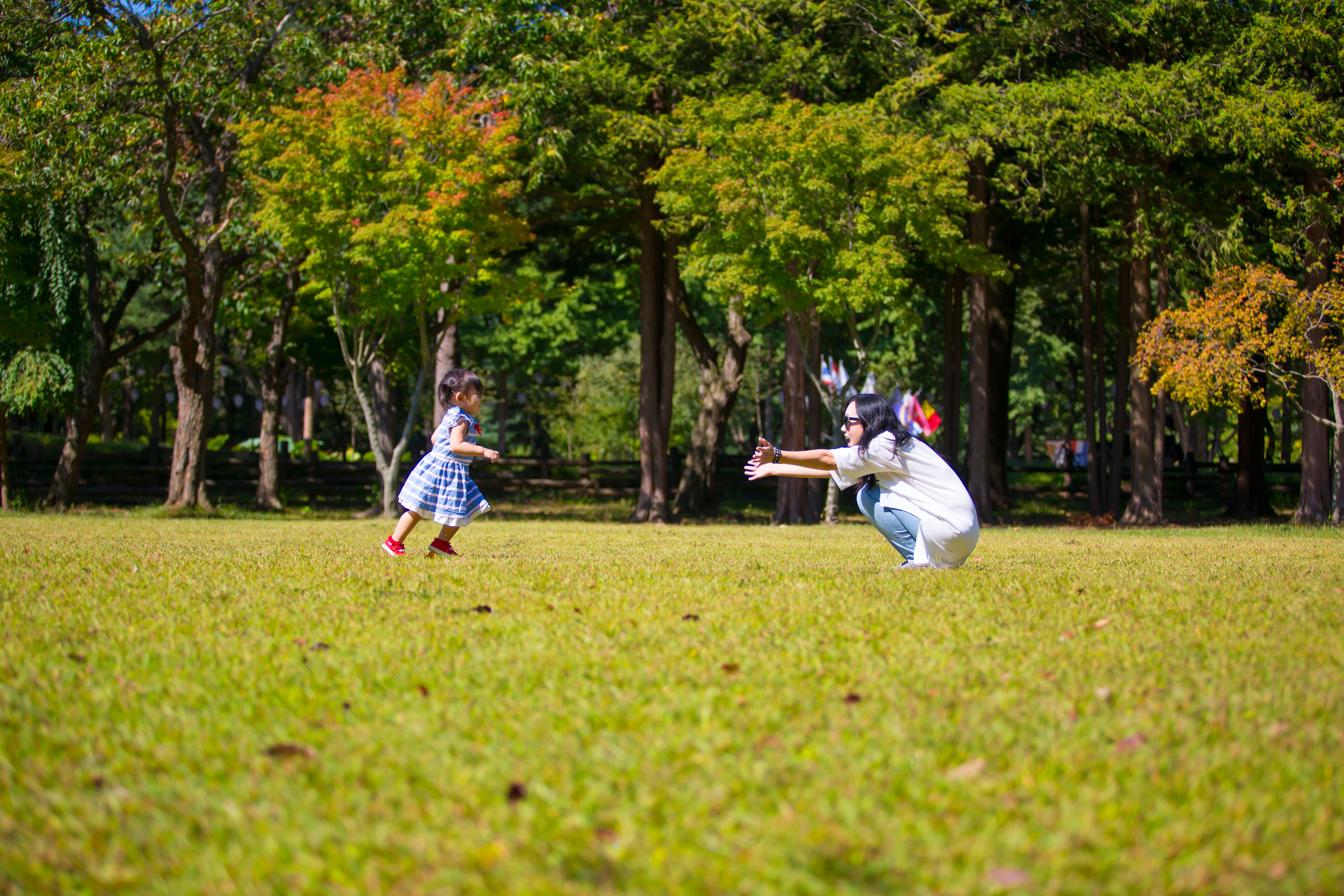 Nami Island One Day Tour (Shuttle & Ferry Included)