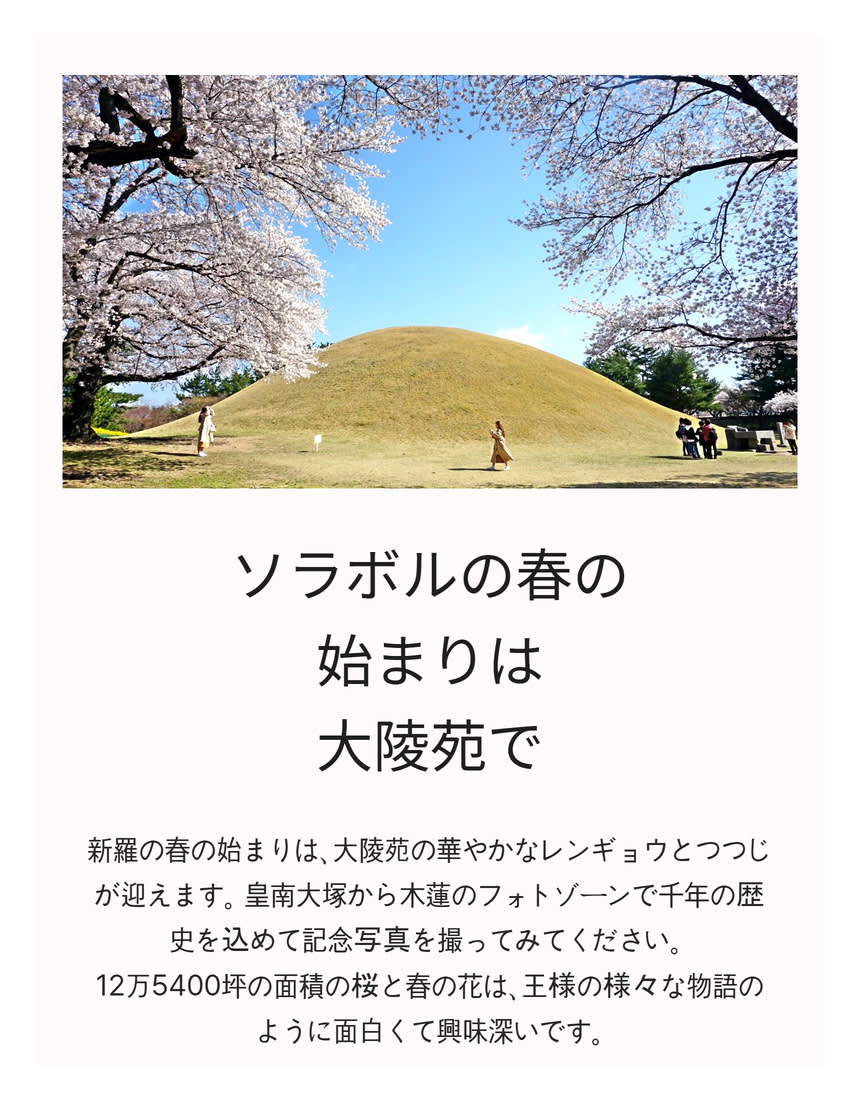 [汽車当日の旅行] 慶州へ行く春の花のお出かけ (大陵苑 春の花/ 仏国寺 桜)