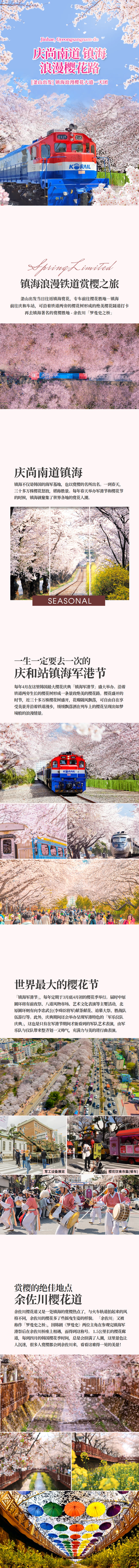 [釜山出发] 镇海浪漫樱花大道一天团