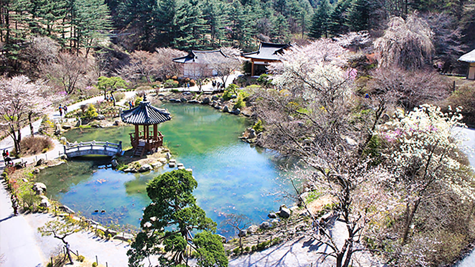 江原道全地域のカーチャートツアー