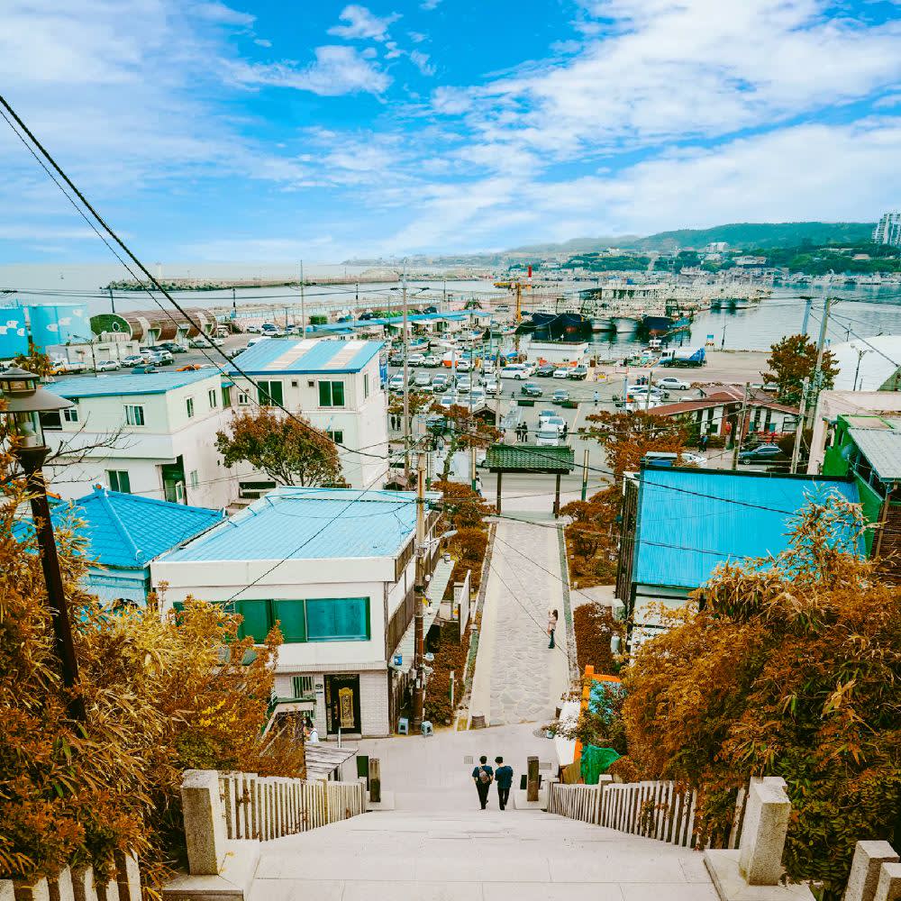 [Pohang] Space Walk X Lakeside Park Cherry Blossom Viewing | Departing from Busan