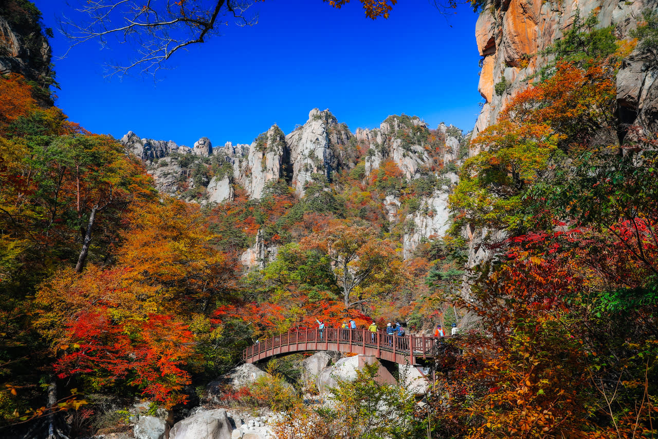 雪岳山国立公园 + 洛山寺一日游