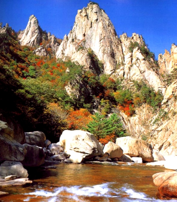 Autumn - Seoraksan National Park Maple leaves | Cable Car Day Tour