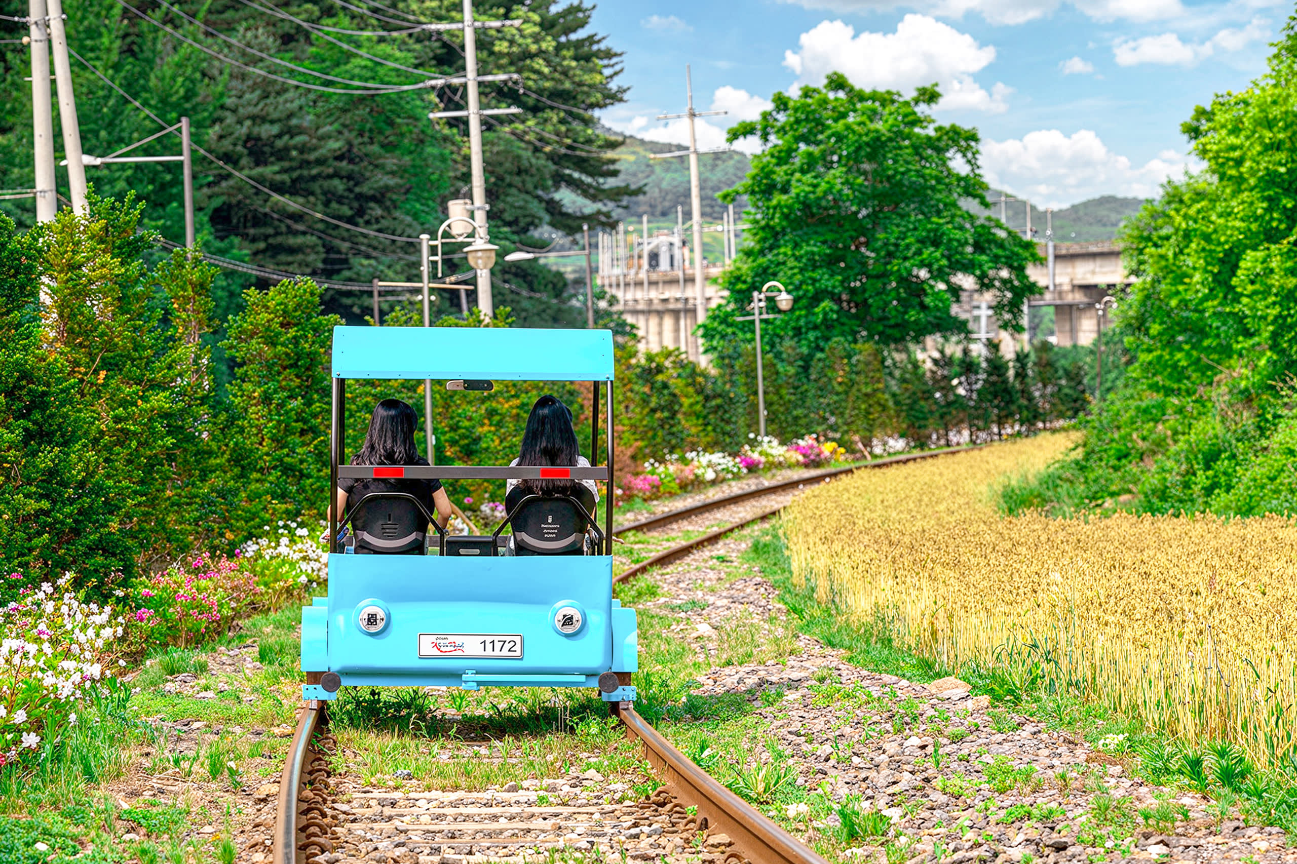 Day Trip: Nami + Rail Bike + Garden of Morning Calm