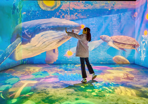 [果川] Wonder Park神奇乐园优惠券