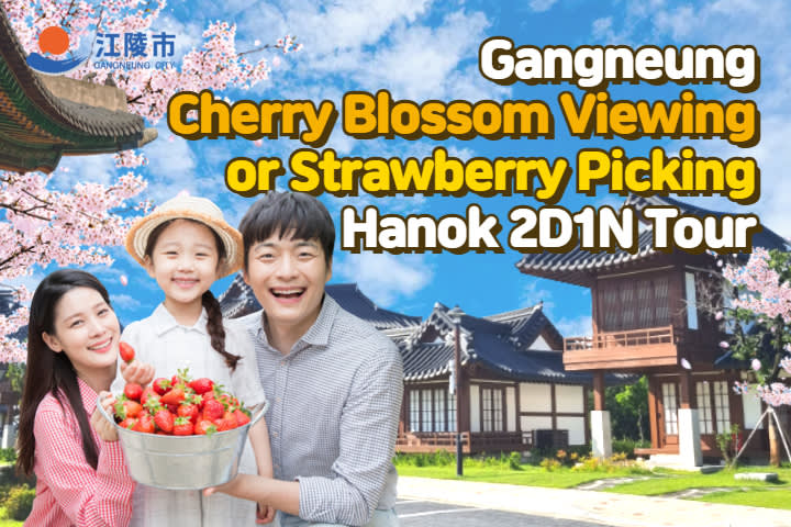 Gangneung Spring Limited Hanok Experience 2Days 1Night Tour