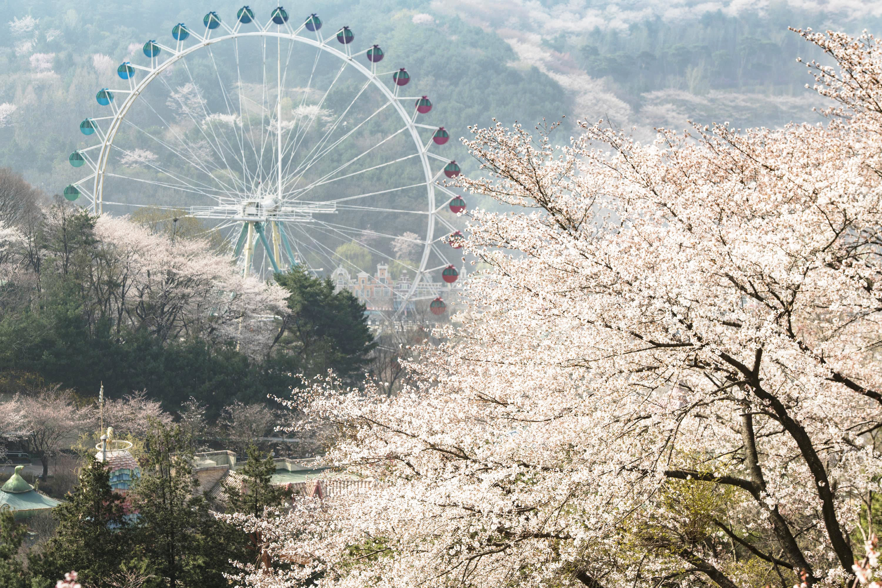 [LOTTE WORLD] 蚕室乐天世界 + 乐天水族馆套票