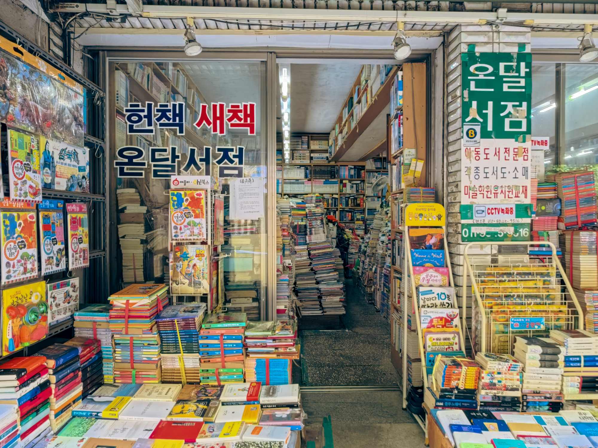 [Busan Local Favorites] Bamboo Forest, Coast & Local Life 1-Day Tour