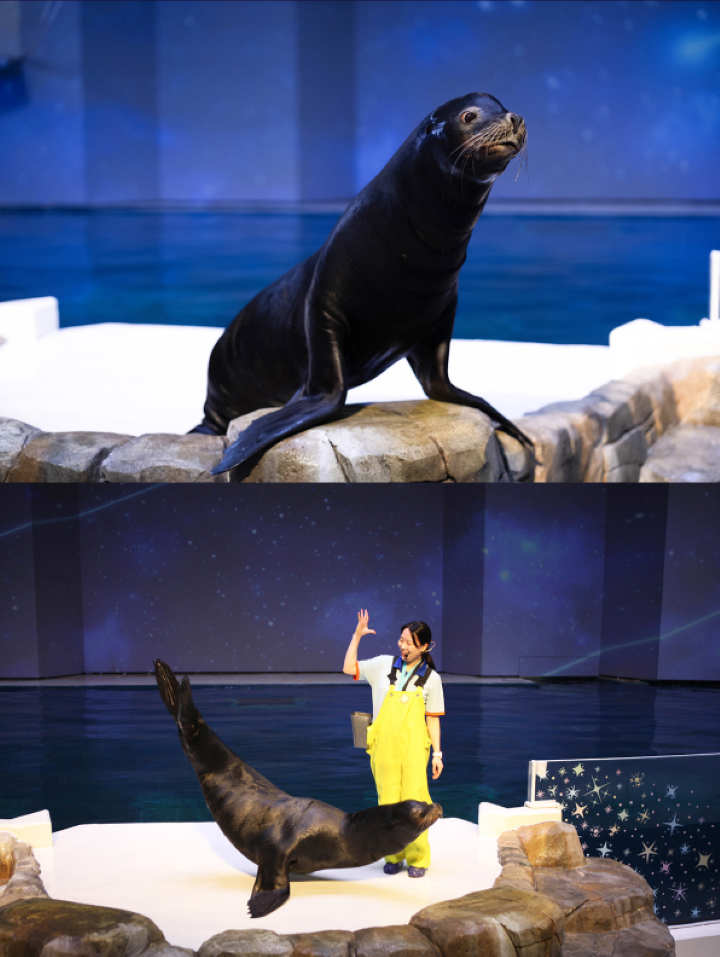 [Jeju] Aqua Planet Discount Ticket (Foreigner Only)