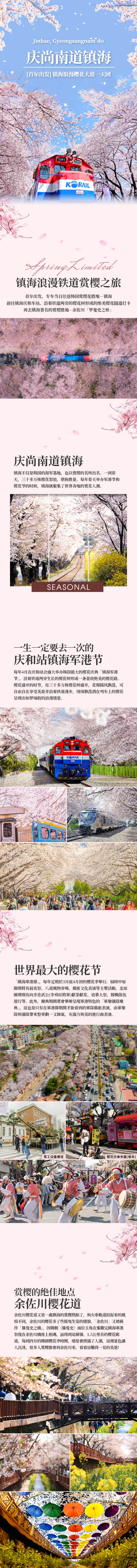 [首尔出发] 镇海浪漫樱花大道一天团