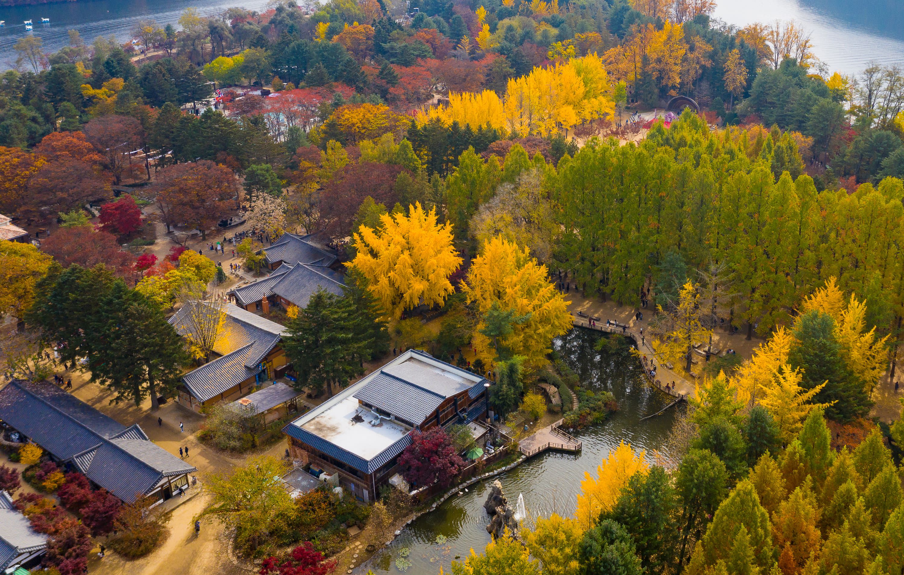 [Best Seller] Nami Island + Alpaca World + Gangchon Railbike Day Tour from Seoul